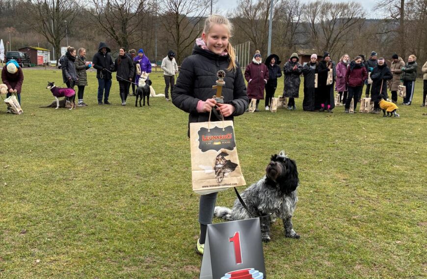 THS KM Teil 1 am 15.02.2026