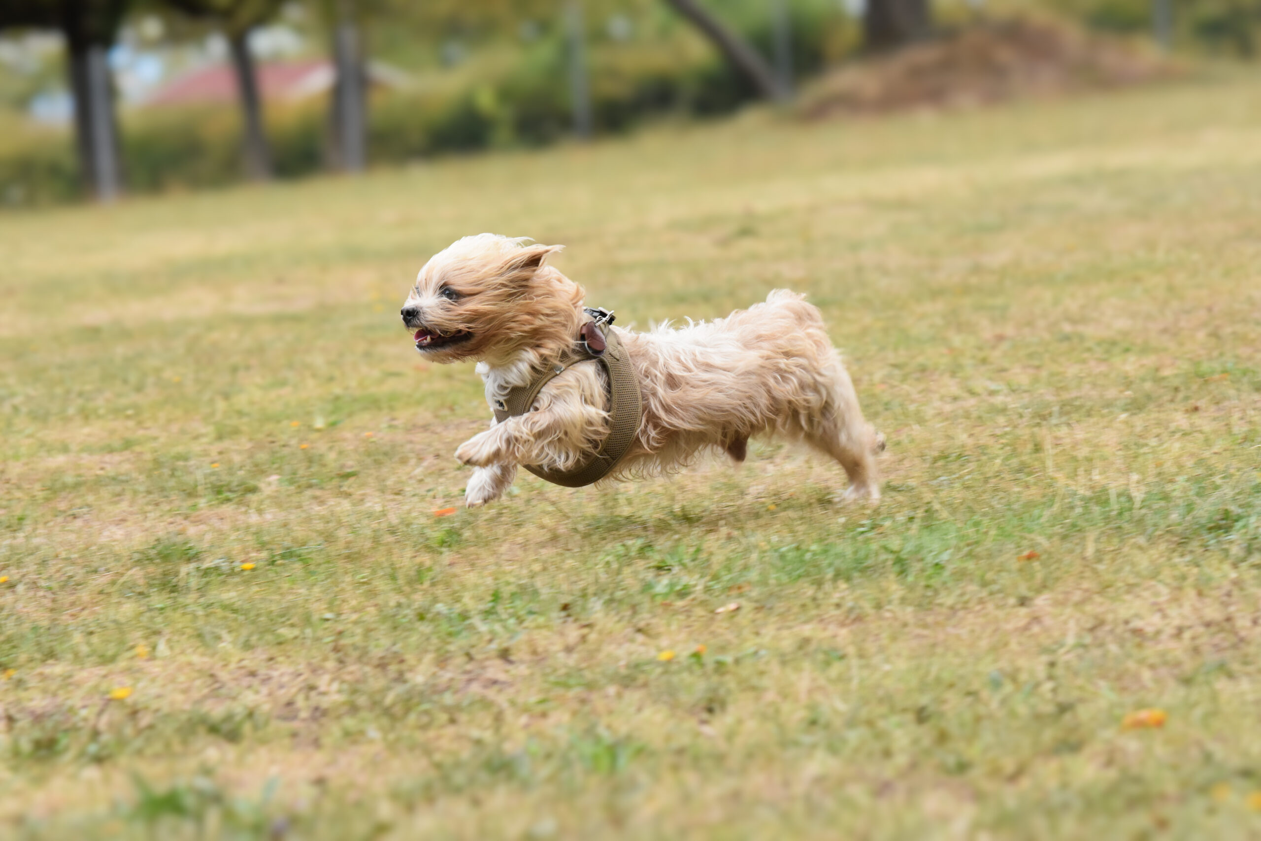 Image gallery image