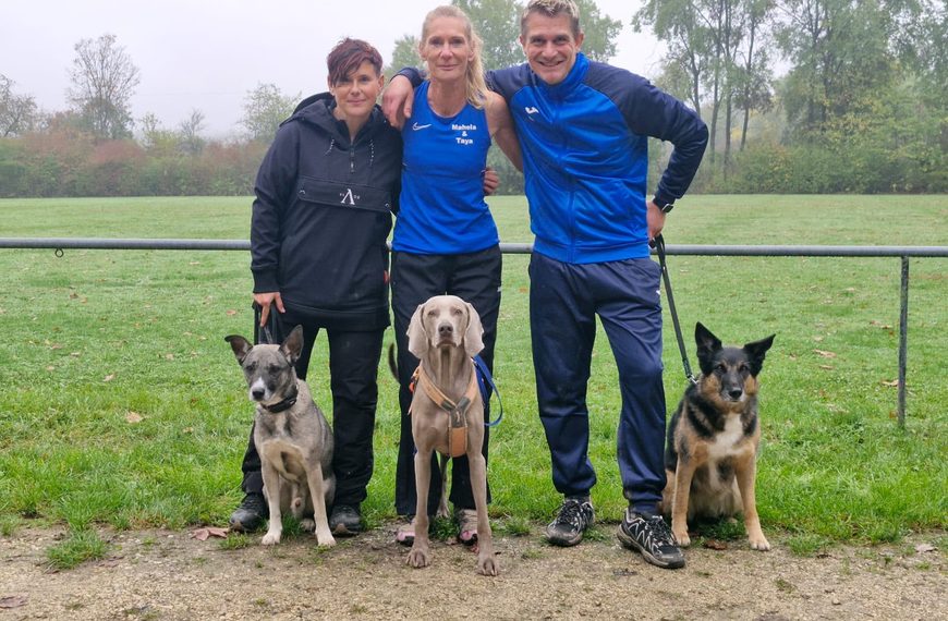 THS Turnier beim VdH Metzingen 2026
